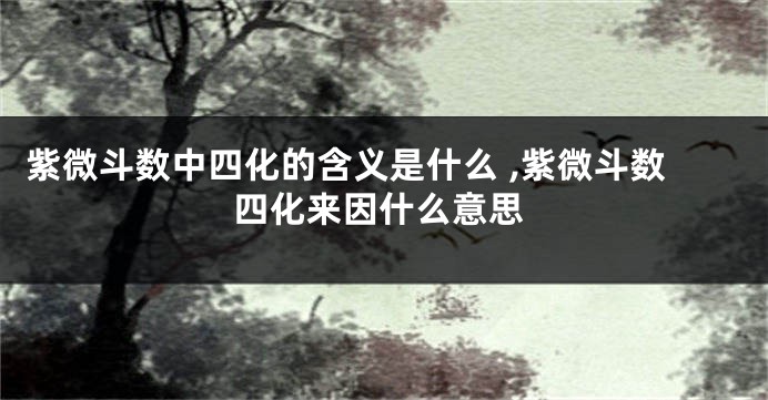 紫微斗数中四化的含义是什么 ,紫微斗数四化来因什么意思