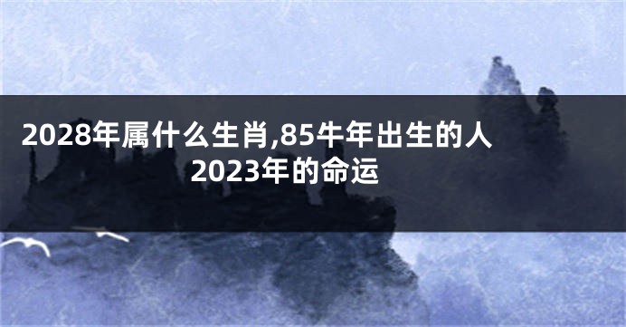 2028年属什么生肖,85牛年出生的人2023年的命运