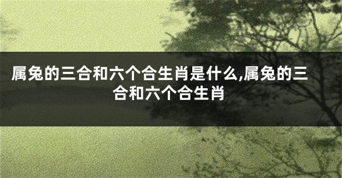 属兔的三合和六个合生肖是什么,属兔的三合和六个合生肖