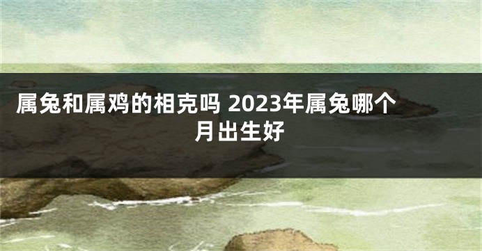 属兔和属鸡的相克吗 2023年属兔哪个月出生好