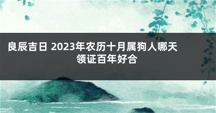 良辰吉日 2023年农历十月属狗人哪天领证百年好合