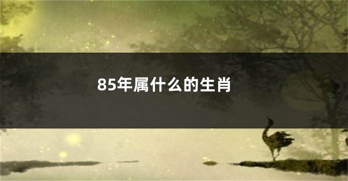 85年属什么的生肖
