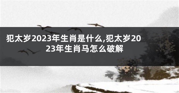犯太岁2023年生肖是什么,犯太岁2023年生肖马怎么破解