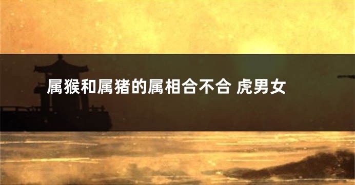 属猴和属猪的属相合不合 虎男女