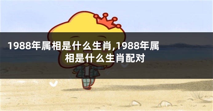 1988年属相是什么生肖,1988年属相是什么生肖配对