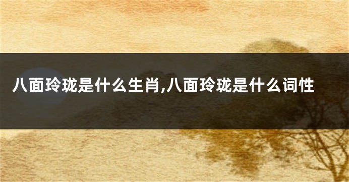 八面玲珑是什么生肖,八面玲珑是什么词性