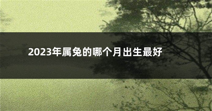 2023年属兔的哪个月出生最好
