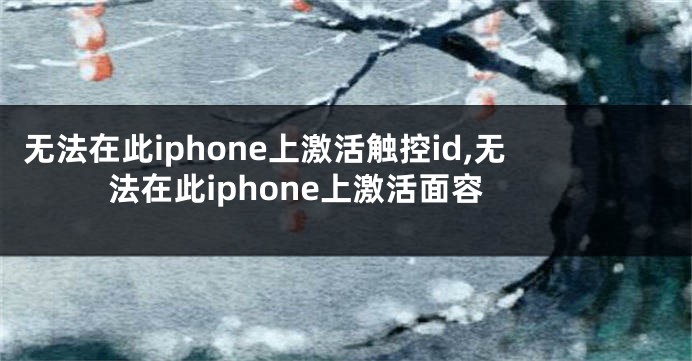 无法在此iphone上激活触控id,无法在此iphone上激活面容