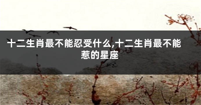 十二生肖最不能忍受什么,十二生肖最不能惹的星座