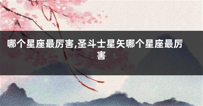哪个星座最厉害,圣斗士星矢哪个星座最厉害