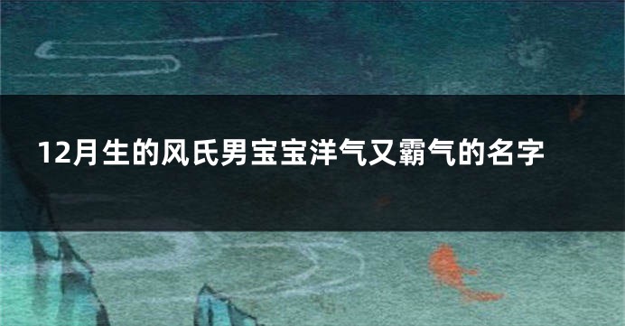 12月生的风氏男宝宝洋气又霸气的名字