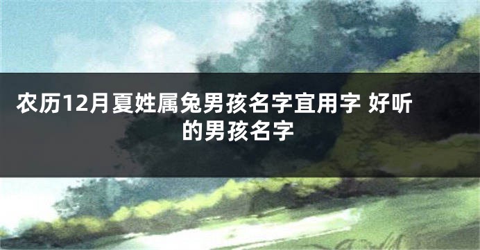 农历12月夏姓属兔男孩名字宜用字 好听的男孩名字