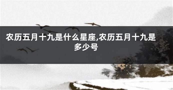 农历五月十九是什么星座,农历五月十九是多少号