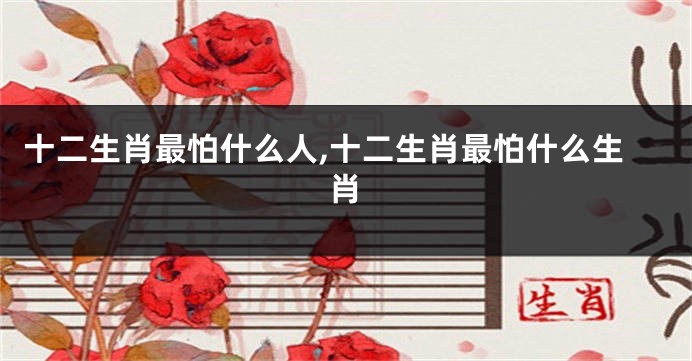 十二生肖最怕什么人,十二生肖最怕什么生肖
