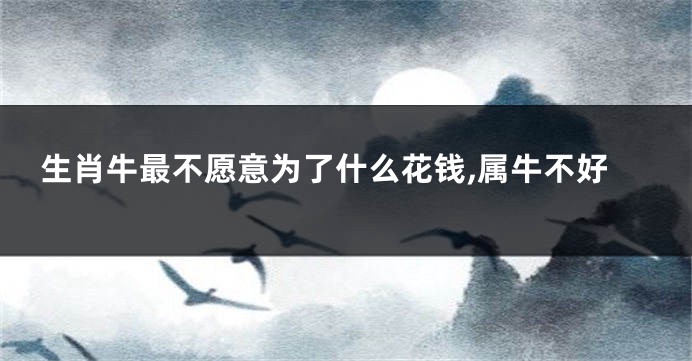 生肖牛最不愿意为了什么花钱,属牛不好