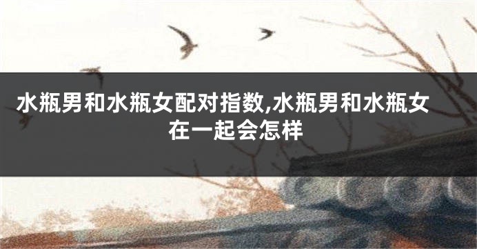水瓶男和水瓶女配对指数,水瓶男和水瓶女在一起会怎样