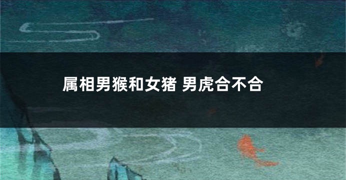 属相男猴和女猪 男虎合不合