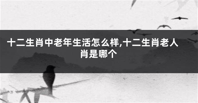 十二生肖中老年生活怎么样,十二生肖老人肖是哪个