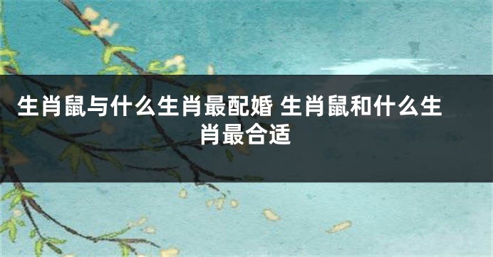 生肖鼠与什么生肖最配婚 生肖鼠和什么生肖最合适