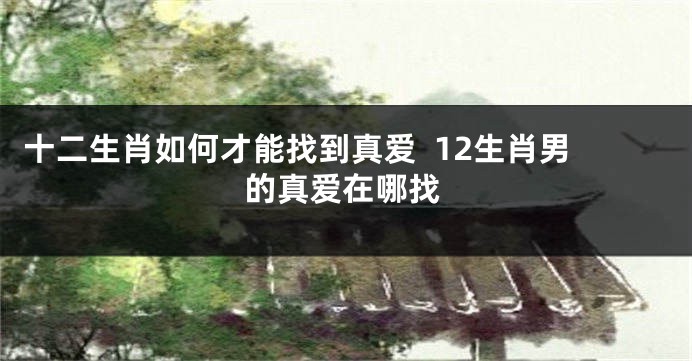 十二生肖如何才能找到真爱  12生肖男的真爱在哪找