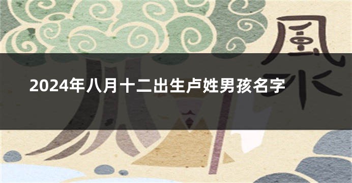 2024年八月十二出生卢姓男孩名字