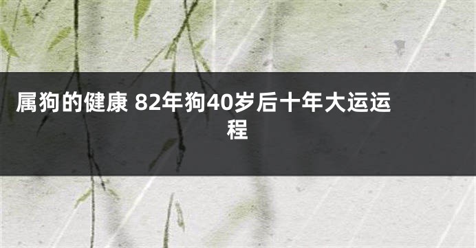 属狗的健康 82年狗40岁后十年大运运程