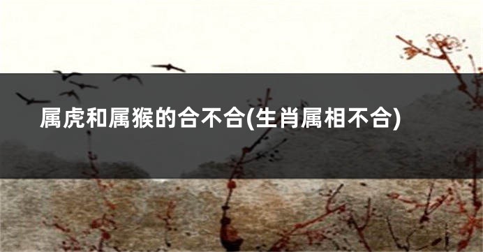 属虎和属猴的合不合(生肖属相不合)