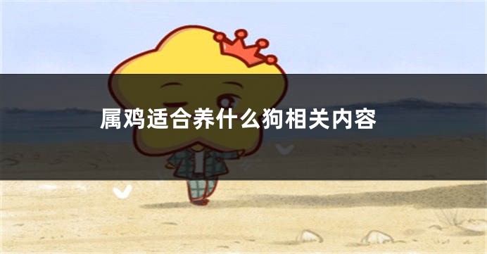 属鸡适合养什么狗相关内容