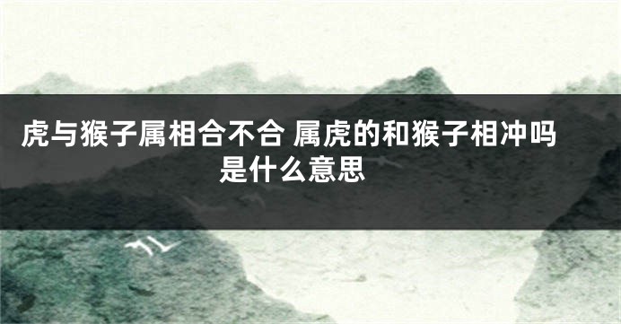 虎与猴子属相合不合 属虎的和猴子相冲吗是什么意思 