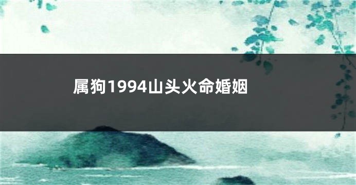 属狗1994山头火命婚姻