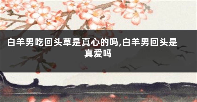 白羊男吃回头草是真心的吗,白羊男回头是真爱吗