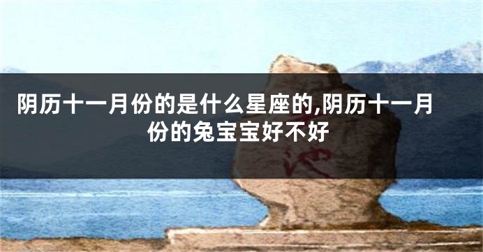 阴历十一月份的是什么星座的,阴历十一月份的兔宝宝好不好
