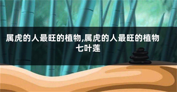 属虎的人最旺的植物,属虎的人最旺的植物七叶莲