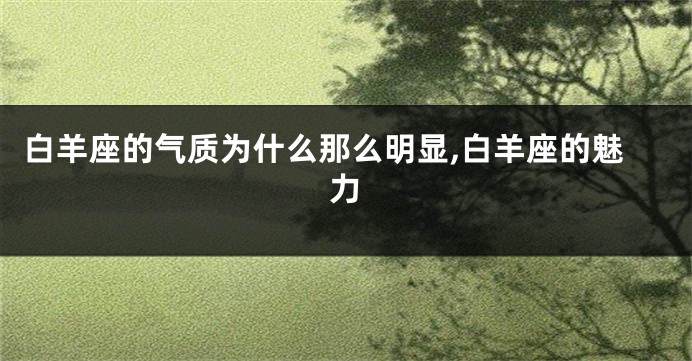 白羊座的气质为什么那么明显,白羊座的魅力