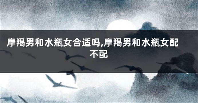 摩羯男和水瓶女合适吗,摩羯男和水瓶女配不配