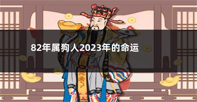 82年属狗人2023年的命运