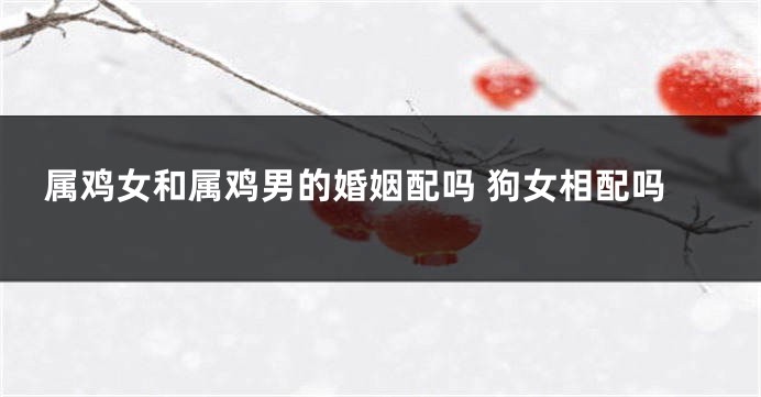 属鸡女和属鸡男的婚姻配吗 狗女相配吗
