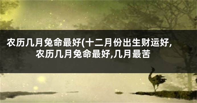 农历几月兔命最好(十二月份出生财运好,农历几月兔命最好,几月最苦