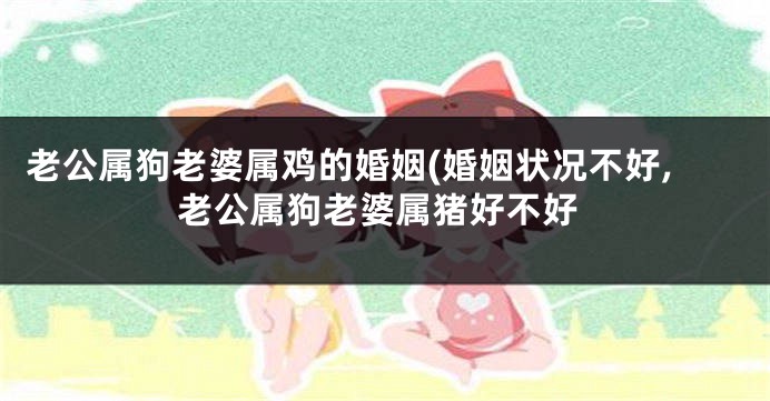 老公属狗老婆属鸡的婚姻(婚姻状况不好,老公属狗老婆属猪好不好