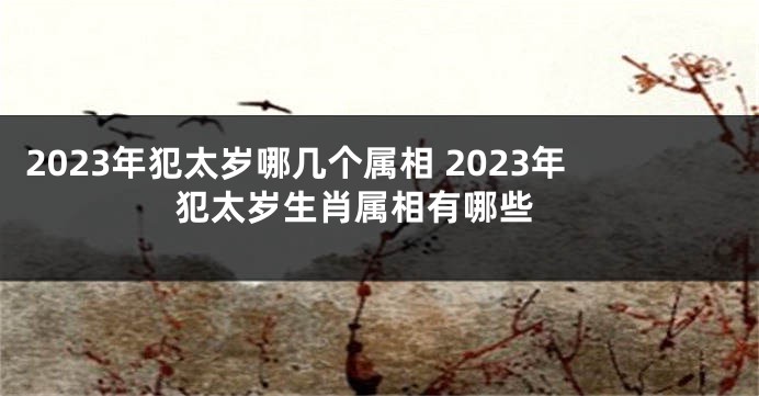 2023年犯太岁哪几个属相 2023年犯太岁生肖属相有哪些 