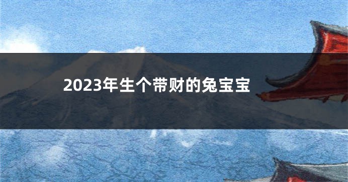 2023年生个带财的兔宝宝