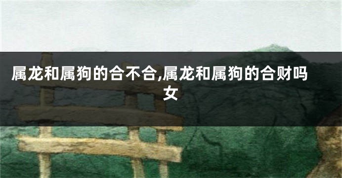 属龙和属狗的合不合,属龙和属狗的合财吗女
