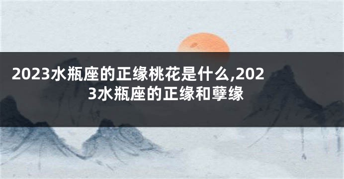 2023水瓶座的正缘桃花是什么,2023水瓶座的正缘和孽缘
