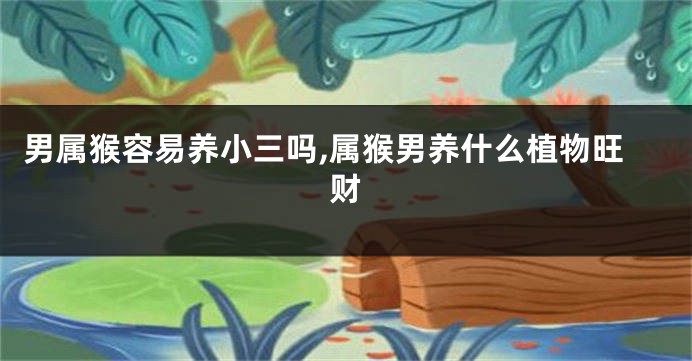 男属猴容易养小三吗,属猴男养什么植物旺财