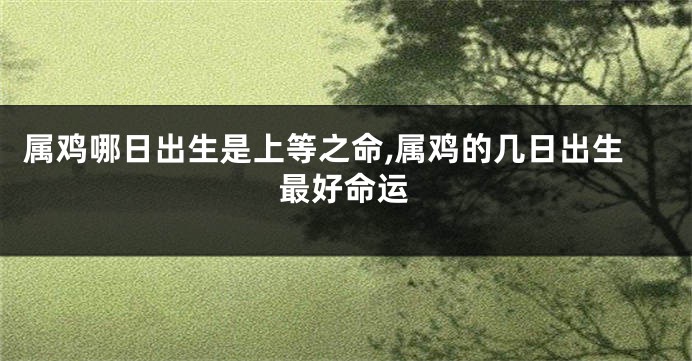 属鸡哪日出生是上等之命,属鸡的几日出生最好命运