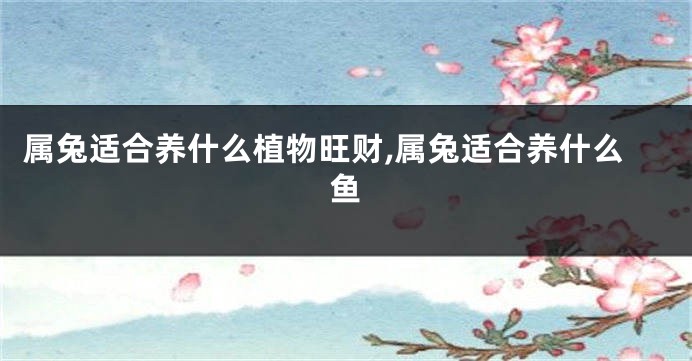 属兔适合养什么植物旺财,属兔适合养什么鱼