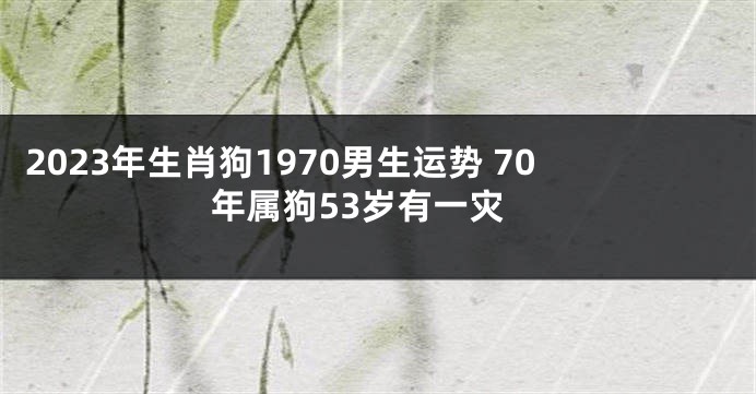 2023年生肖狗1970男生运势 70年属狗53岁有一灾