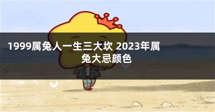 1999属兔人一生三大坎 2023年属兔大忌颜色
