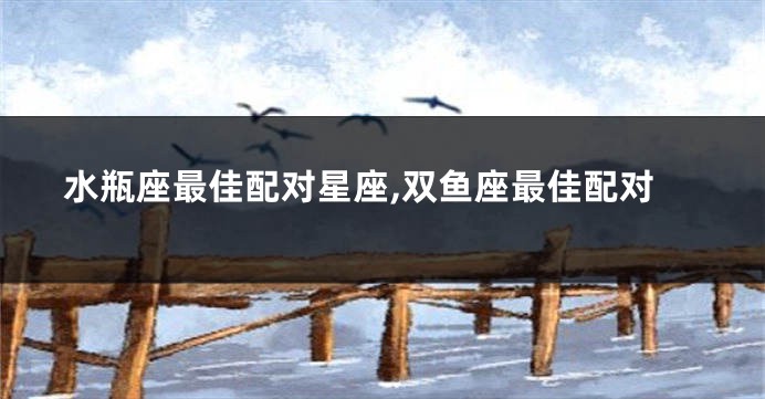 水瓶座最佳配对星座,双鱼座最佳配对