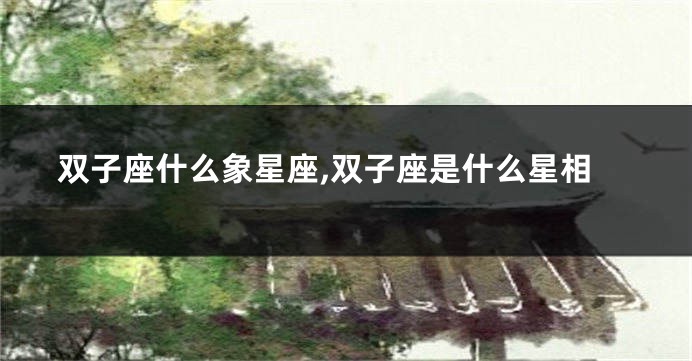 双子座什么象星座,双子座是什么星相